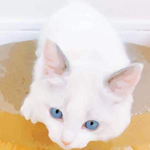 数据项目小龟导航
