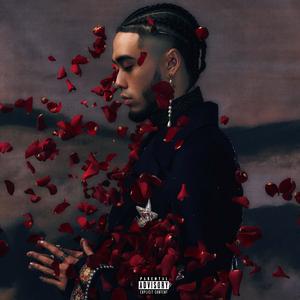 数据项目小龟导航
