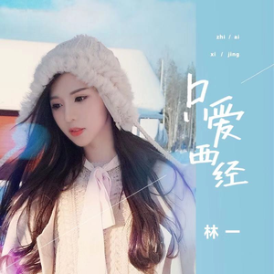 数据项目小龟导航
